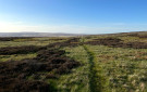 Langbar Moor, North Yorkshire